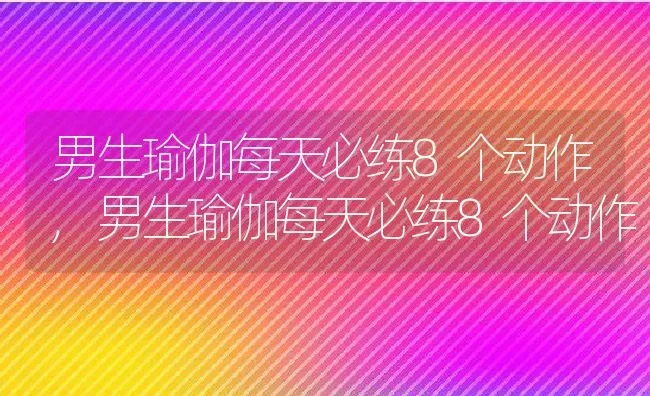 男生瑜伽每天必练8个动作,男生瑜伽每天必练8个动作 | 养殖科普