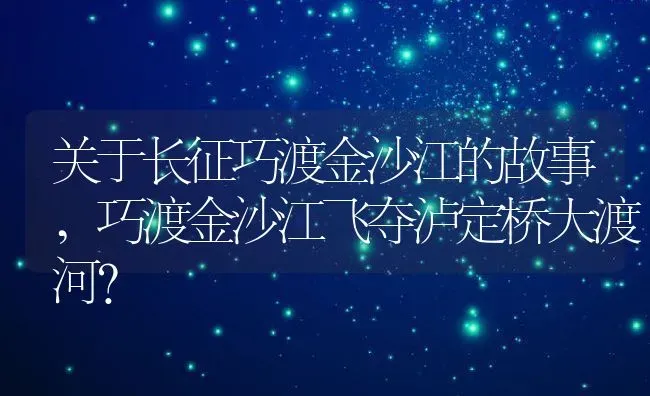 关于长征巧渡金沙江的故事,巧渡金沙江飞夺泸定桥大渡河？ | 养殖科普