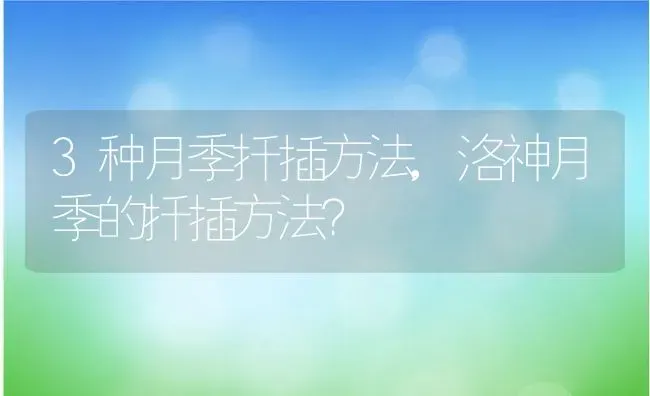 3种月季扦插方法,洛神月季的扦插方法？ | 养殖科普