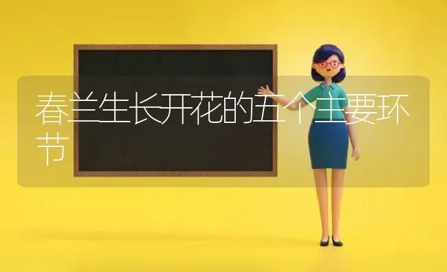 春兰生长开花的五个主要环节 | 养殖技术大全