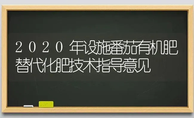 2020年设施番茄有机肥替代化肥技术指导意见 | 养殖技术大全