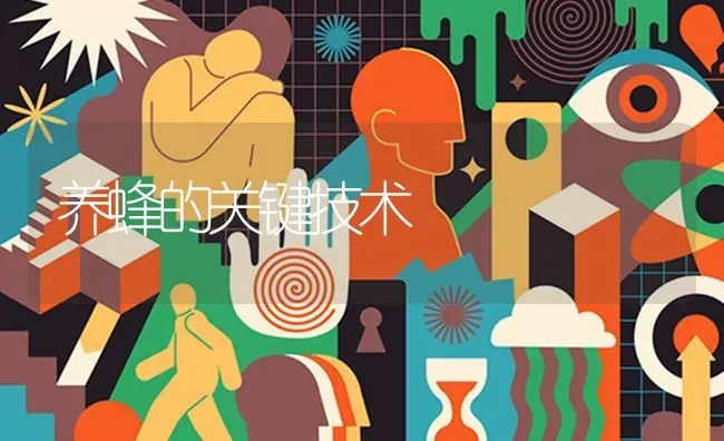 养蜂的关键技术 | 养殖技术大全