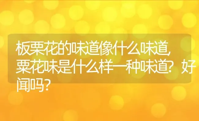 板栗花的味道像什么味道,粟花味是什么样一种味道?好闻吗？ | 养殖科普