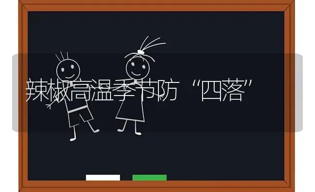 辣椒高温季节防“四落” | 养殖知识