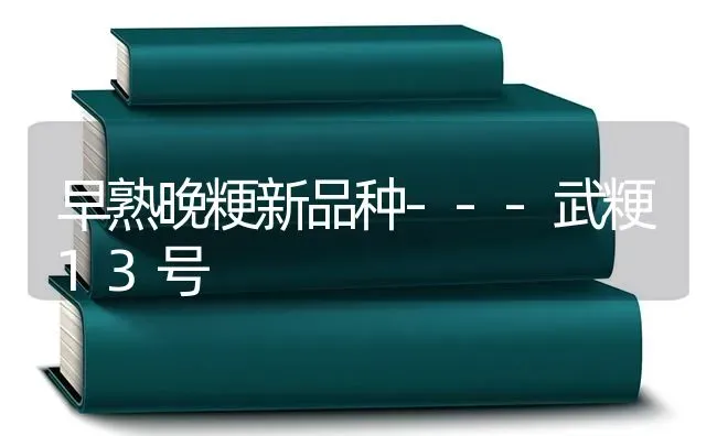 早熟晚粳新品种---武粳13号 | 养殖技术大全