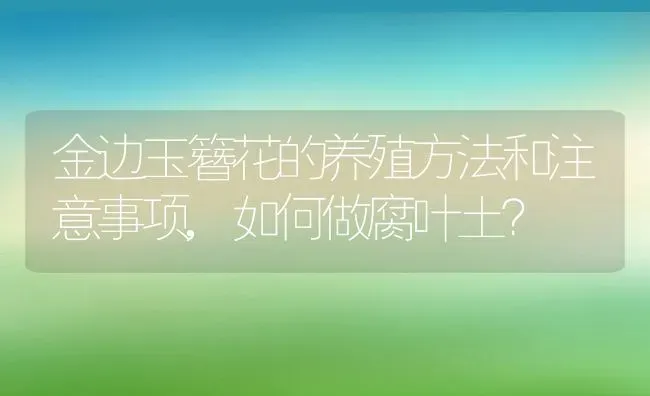 金边玉簪花的养殖方法和注意事项,如何做腐叶土？ | 养殖科普