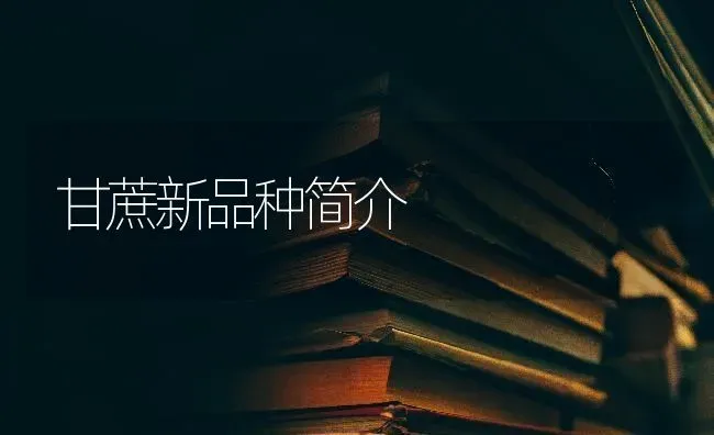 甘蔗新品种简介 | 养殖知识