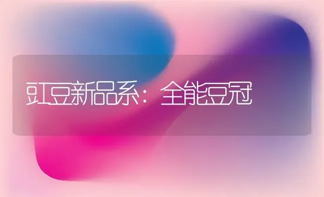 豇豆新品系：全能豆冠 | 养殖技术大全