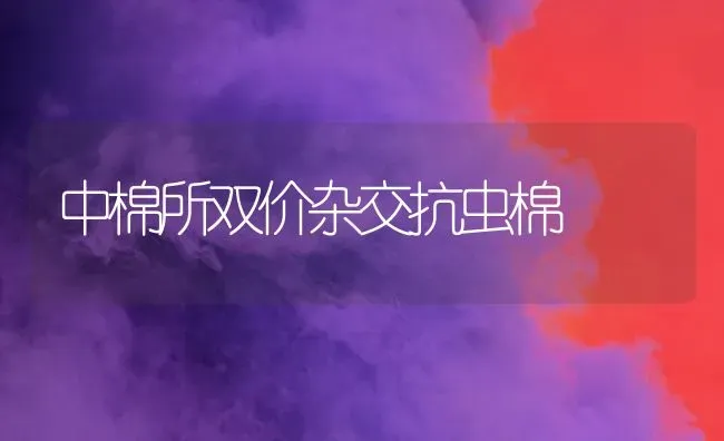 中棉所双价杂交抗虫棉 | 养殖技术大全