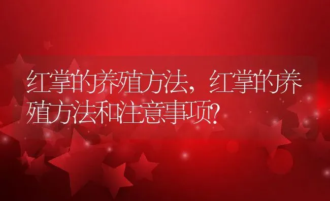 红掌的养殖方法,红掌的养殖方法和注意事项？ | 养殖学堂