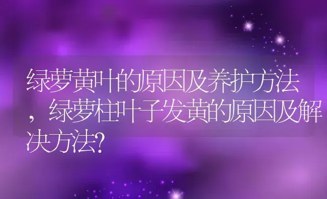 绿萝黄叶的原因及养护方法,绿萝柱叶子发黄的原因及解决方法？ | 养殖科普