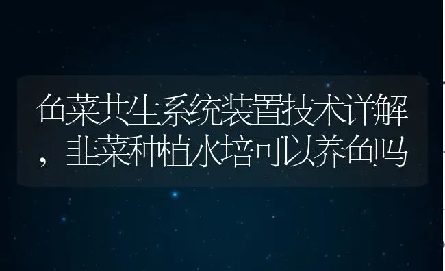 鱼菜共生系统装置技术详解,韭菜种植水培可以养鱼吗 | 养殖学堂