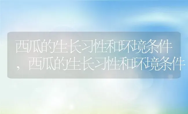 西瓜的生长习性和环境条件,西瓜的生长习性和环境条件 | 养殖科普