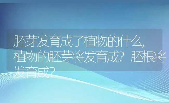 胚芽发育成了植物的什么,植物的胚芽将发育成?胚根将发育成？ | 养殖科普