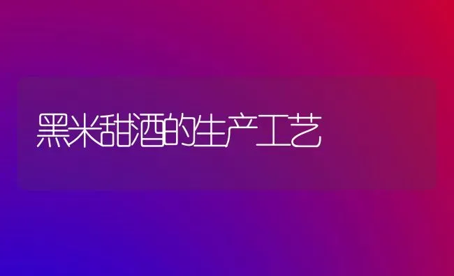 黑米甜酒的生产工艺 | 养殖技术大全
