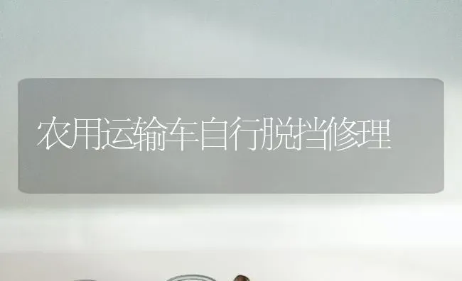 农用运输车自行脱挡修理 | 养殖技术大全