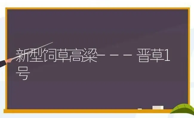 新型饲草高粱---晋草1号 | 养殖技术大全