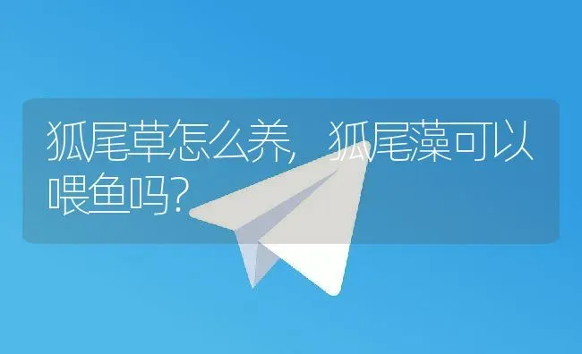 狐尾草怎么养,狐尾藻可以喂鱼吗？ | 养殖科普