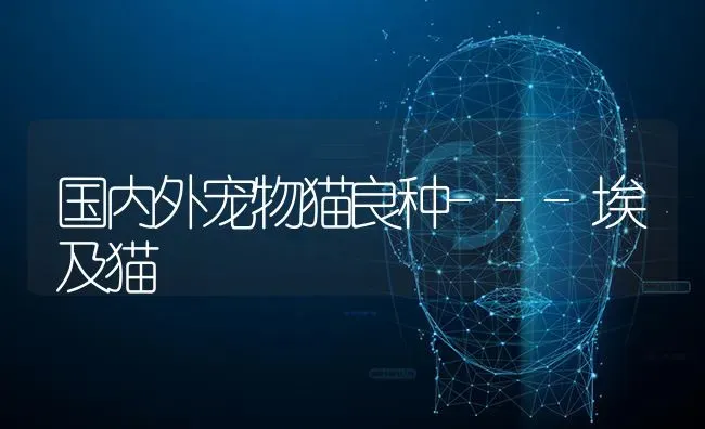 国内外宠物猫良种---埃及猫 | 养殖技术大全