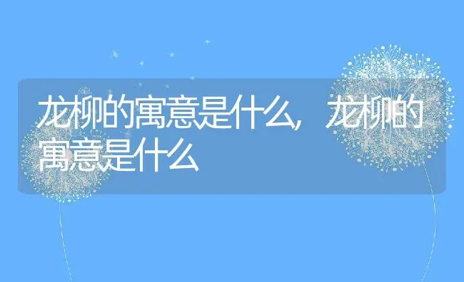 龙柳的寓意是什么,龙柳的寓意是什么 | 养殖科普