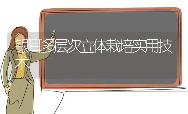 银耳多层次立体栽培实用技术 | 养殖技术大全