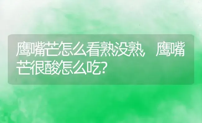 鹰嘴芒怎么看熟没熟,鹰嘴芒很酸怎么吃？ | 养殖科普