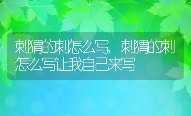 刺猬的刺怎么写,刺猬的刺怎么写让我自己来写 | 养殖学堂