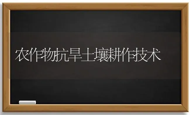 农作物抗旱土壤耕作技术 | 养殖技术大全