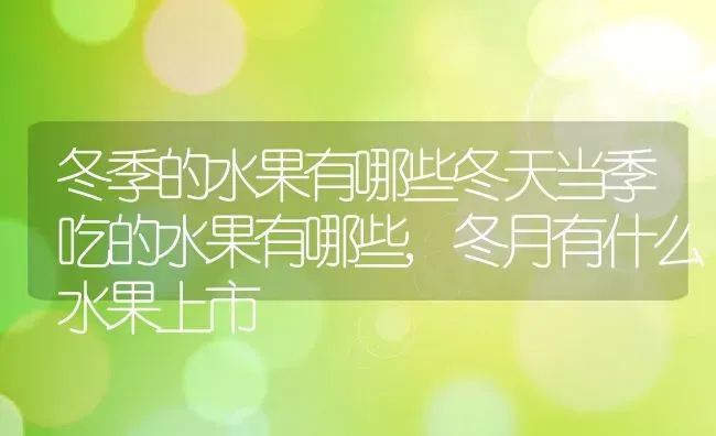 冬季的水果有哪些冬天当季吃的水果有哪些,冬月有什么水果上市 | 养殖学堂