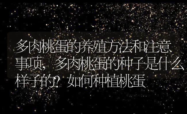 多肉桃蛋的养殖方法和注意事项,多肉桃蛋的种子是什么样子的？如何种植桃蛋 | 养殖学堂