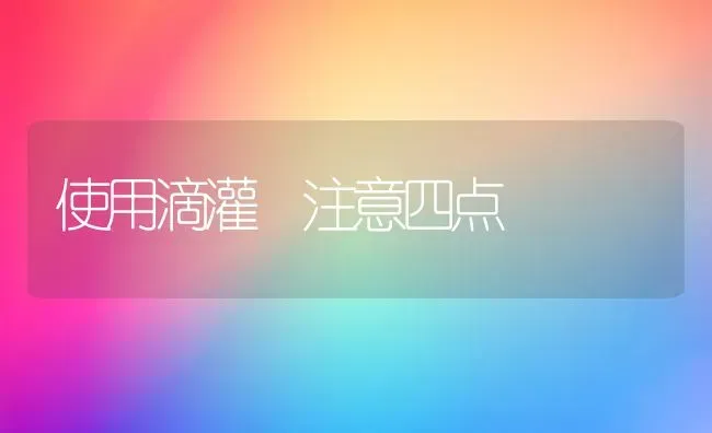 使用滴灌 注意四点 | 养殖知识