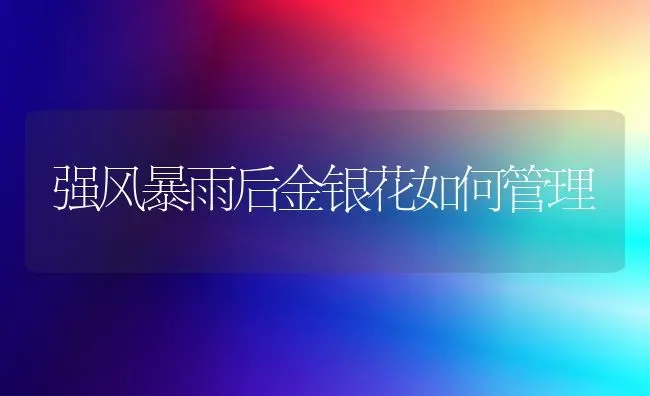 强风暴雨后金银花如何管理 | 养殖技术大全