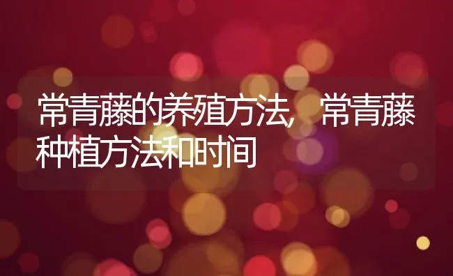 草莓的生长环境及特点适合生长地方的条件,想要一整年里种草莓需要具备那些条件 | 养殖学堂