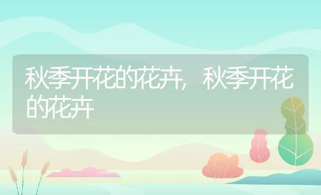 秋季开花的花卉,秋季开花的花卉 | 养殖科普