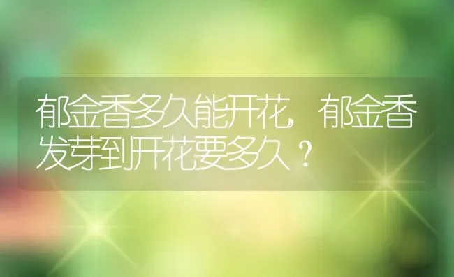 郁金香多久能开花,郁金香发芽到开花要多久？ | 养殖科普