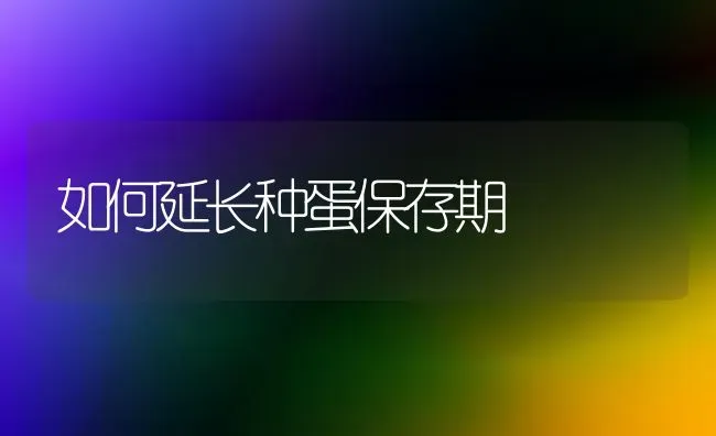 如何延长种蛋保存期 | 养殖技术大全