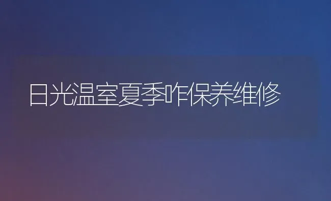 日光温室夏季咋保养维修 | 养殖技术大全