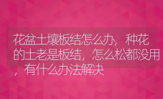 花盆土壤板结怎么办,种花的土老是板结，怎么松都没用，有什么办法解决 | 养殖学堂