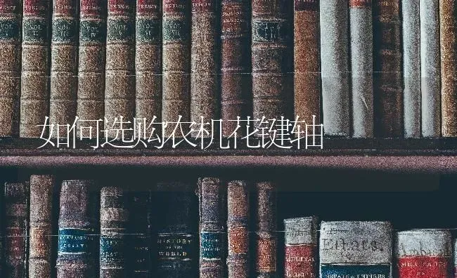 如何选购农机花键轴 | 养殖知识