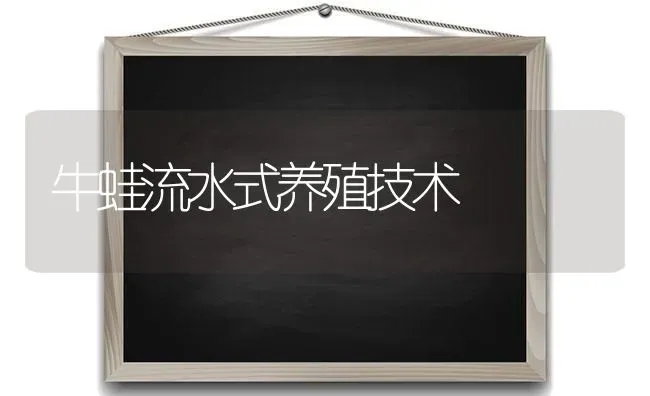 牛蛙流水式养殖技术 | 养殖知识