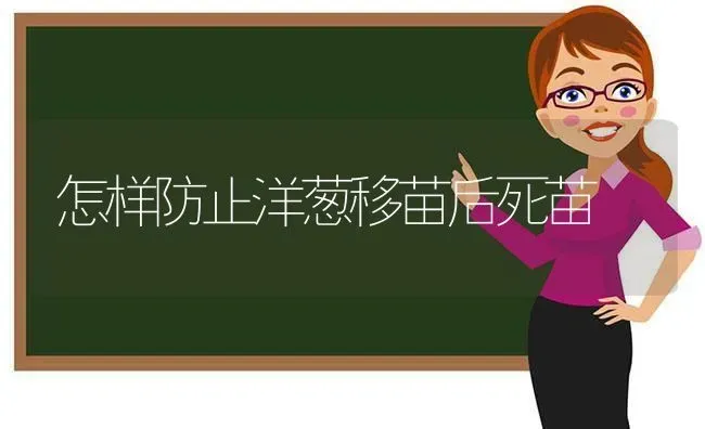 怎样防止洋葱移苗后死苗 | 养殖技术大全