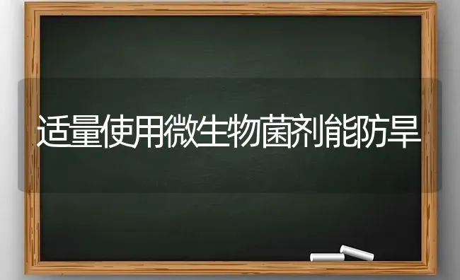 适量使用微生物菌剂能防旱 | 养殖技术大全