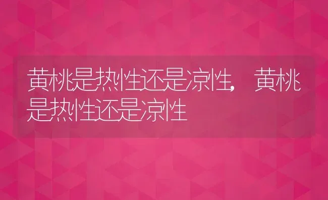 黄桃是热性还是凉性,黄桃是热性还是凉性 | 养殖科普