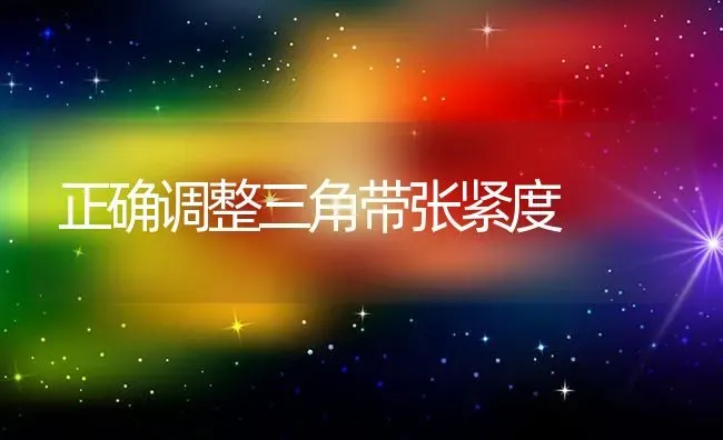 正确调整三角带张紧度 | 养殖知识