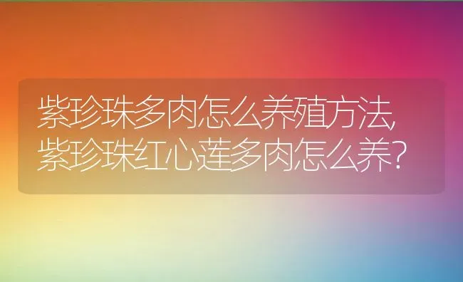 紫珍珠多肉怎么养殖方法,紫珍珠红心莲多肉怎么养？ | 养殖科普