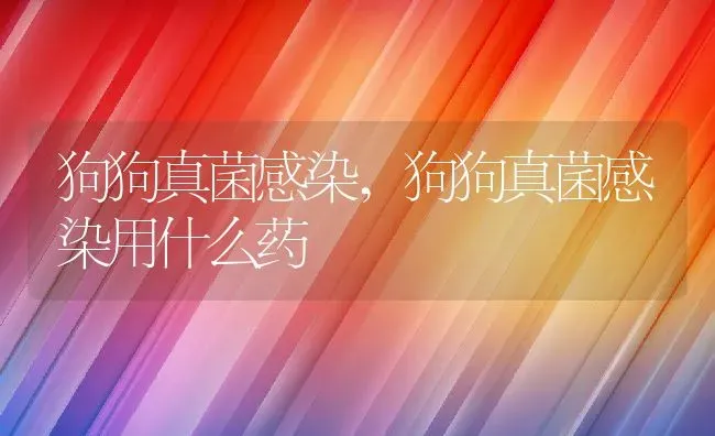 狗狗真菌感染,狗狗真菌感染用什么药 | 养殖科普