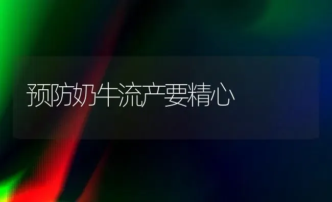 预防奶牛流产要精心 | 养殖知识