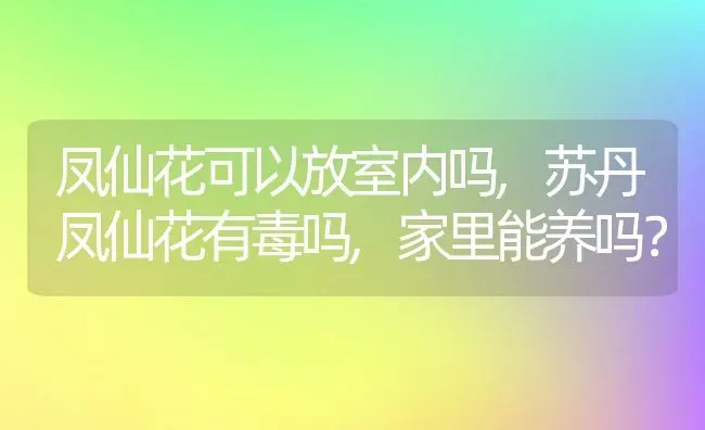 凤仙花可以放室内吗,苏丹凤仙花有毒吗,家里能养吗？ | 养殖科普