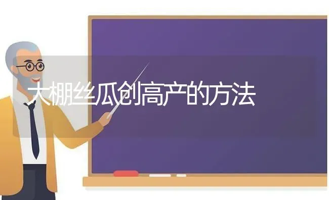 大棚丝瓜创高产的方法 | 养殖技术大全