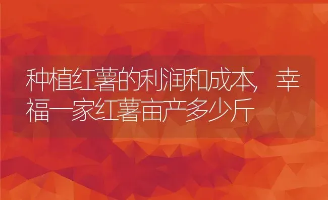 种植红薯的利润和成本,幸福一家红薯亩产多少斤 | 养殖学堂